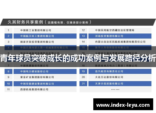 青年球员突破成长的成功案例与发展路径分析
