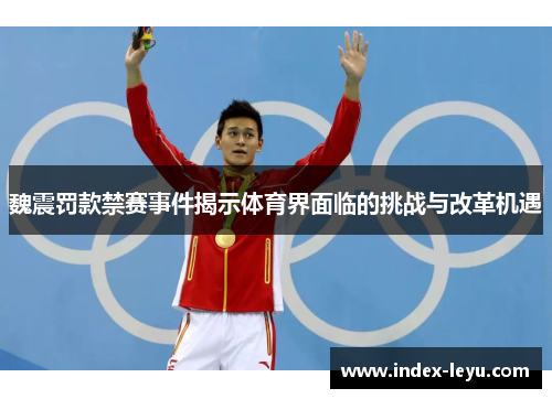 魏震罚款禁赛事件揭示体育界面临的挑战与改革机遇